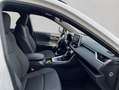 Toyota RAV 4 Plug-in-Hybrid Technik-Paket Blanc - thumbnail 13