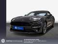 Ford Mustang Convertible 5.0 Ti-VCT V8 Aut. GT 330 kW, Grigio - thumbnail 1