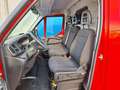 Iveco Daily 35S12V 2.3 300 H1 Rood - thumbnail 9