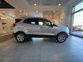 Ford EcoSport 1.5 TDCi 95 CV Business Argento - thumbnail 4
