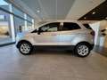 Ford EcoSport 1.5 TDCi 95 CV Business Argento - thumbnail 8