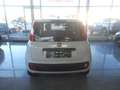 Fiat Panda 1,2 69 Easy Weiß - thumbnail 7