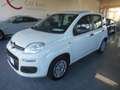 Fiat Panda 1,2 69 Easy Weiß - thumbnail 3