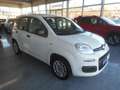 Fiat Panda 1,2 69 Easy Weiß - thumbnail 5