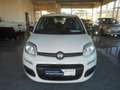 Fiat Panda 1,2 69 Easy Weiß - thumbnail 4