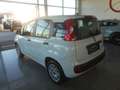 Fiat Panda 1,2 69 Easy Weiß - thumbnail 8