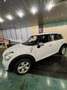 MINI Countryman D business 1.6 ds 82kw Bianco - thumbnail 2