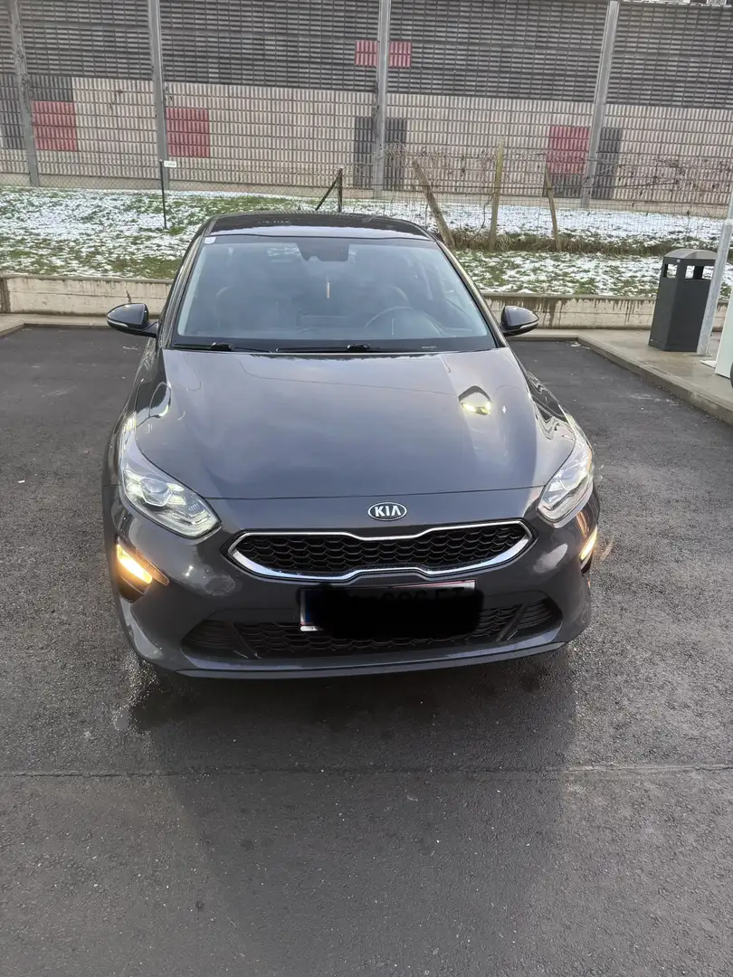 Kia Ceed / cee'd ceed 1,4 TGDI Gold Gold Grau - 1
