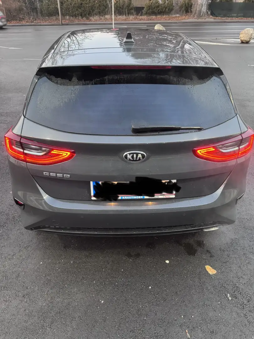 Kia Ceed / cee'd ceed 1,4 TGDI Gold Gold Grau - 2