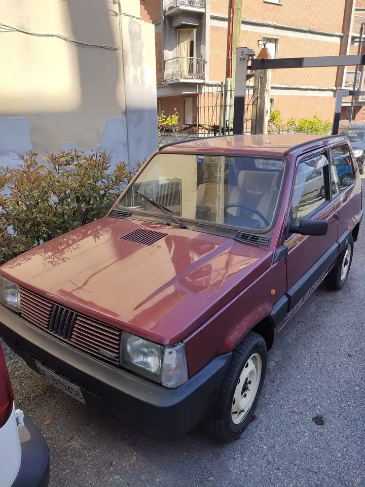 Fiat Panda 1.0 Sisley 4x4, foto 1