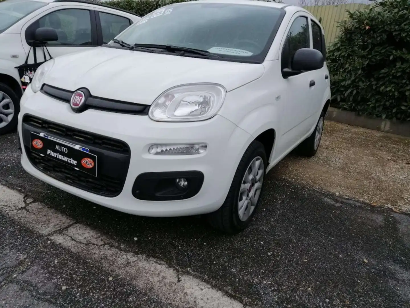 Fiat Panda LOUNGE VAN AUTOCARRO Bianco - 2