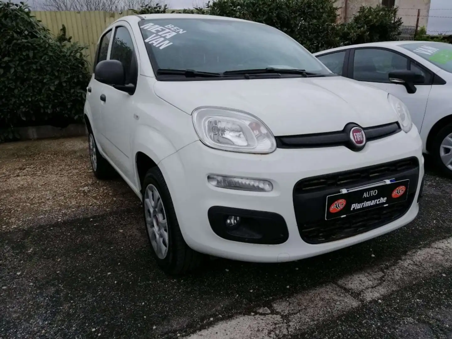 Fiat Panda LOUNGE VAN AUTOCARRO Bianco - 1
