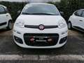 Fiat Panda LOUNGE VAN AUTOCARRO Bianco - thumbnail 3