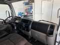 Nissan Cabstar /Klimaanlage/AHK/  Euro4 Umweltplakette Blanc - thumbnail 12
