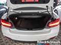 BMW 220 i Cabrio M-Sport LED+NAVI+H/K+KEYLESS+KLIM Білий - thumbnail 20