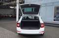 Skoda Octavia Combi Joy Navi/Apple+Android/Tempomat Blanc - thumbnail 10