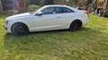 Cadillac ATS 2.0 Premium AWD Weiß - thumbnail 3