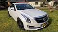 Cadillac ATS 2.0 Premium AWD Weiß - thumbnail 2