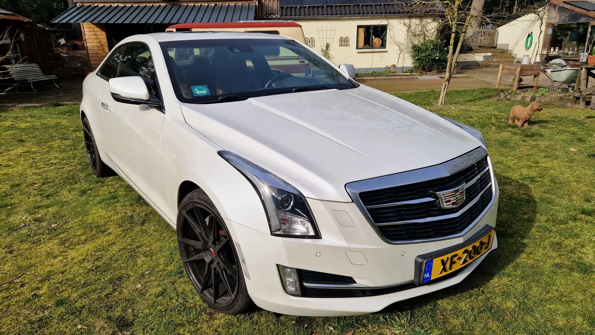 Cadillac ATS 2.0 Premium AWD Weiß - 2