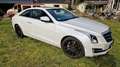 Cadillac ATS 2.0 Premium AWD Weiß - thumbnail 4