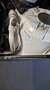 Cadillac ATS 2.0 Premium AWD Weiß - thumbnail 18