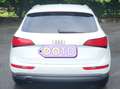 Audi Q5 Q5 2.0 TDI quattro S tronic Weiß - thumbnail 2