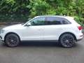 Audi Q5 Q5 2.0 TDI quattro S tronic Weiß - thumbnail 4