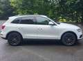 Audi Q5 Q5 2.0 TDI quattro S tronic Weiß - thumbnail 3