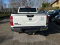 Nissan Navara IVA COMPRESA Weiß - thumbnail 22