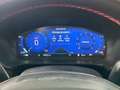 Ford Kuga ST-Line 1.5T EcoBoost 110kW (150CV) Blau - thumbnail 10