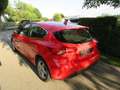 Ford Focus Cool Rot - thumbnail 6