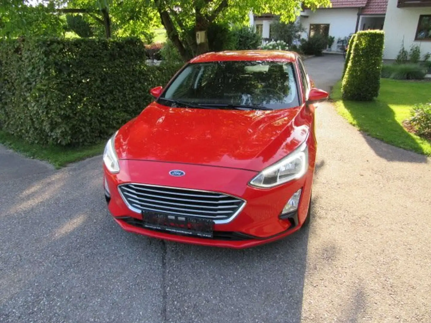 Ford Focus Cool Rot - 2