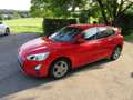 Ford Focus Cool Rot - thumbnail 1