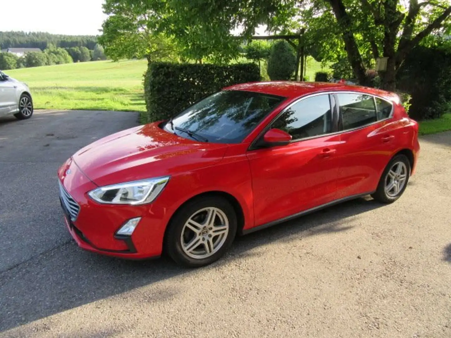 Ford Focus Cool Rot - 1