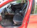 Ford Focus Cool Rot - thumbnail 9