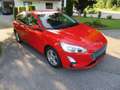 Ford Focus Cool Rot - thumbnail 3