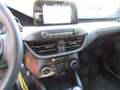 Ford Focus Cool Rot - thumbnail 14