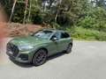 Audi Q5 Q5 40 TDI quattro S tronic edition one Pan, Anh, Grün - thumbnail 1