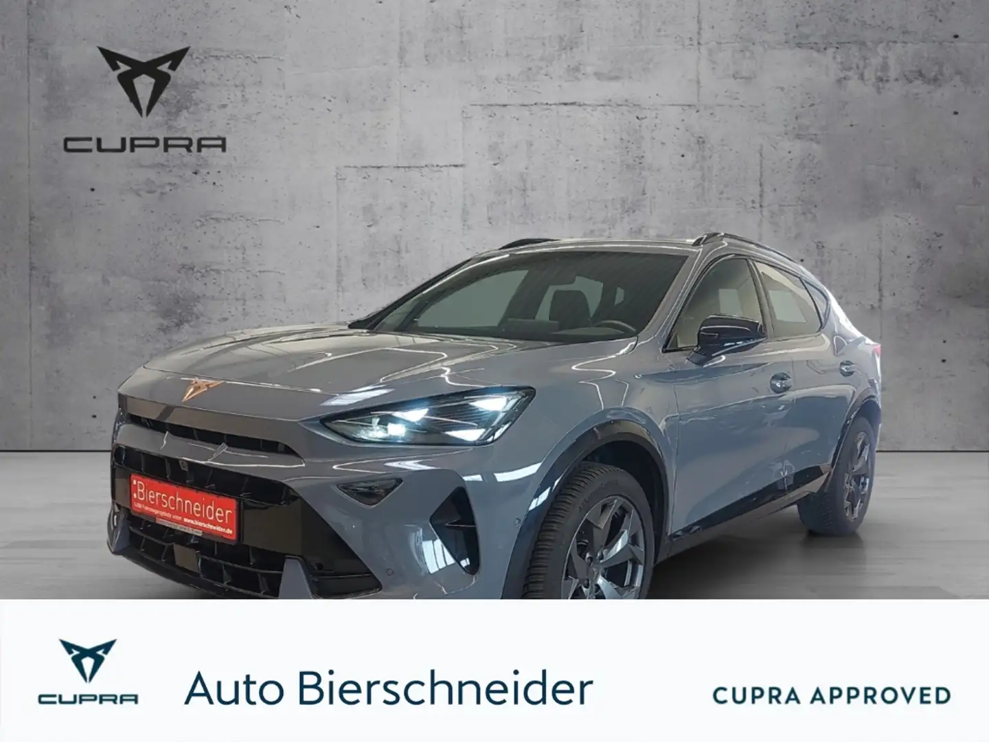 CUPRA Formentor 2.0 TDI DSG ab 279,- EUR 990,- TOP VIEW | NAVI | e Grau - 1