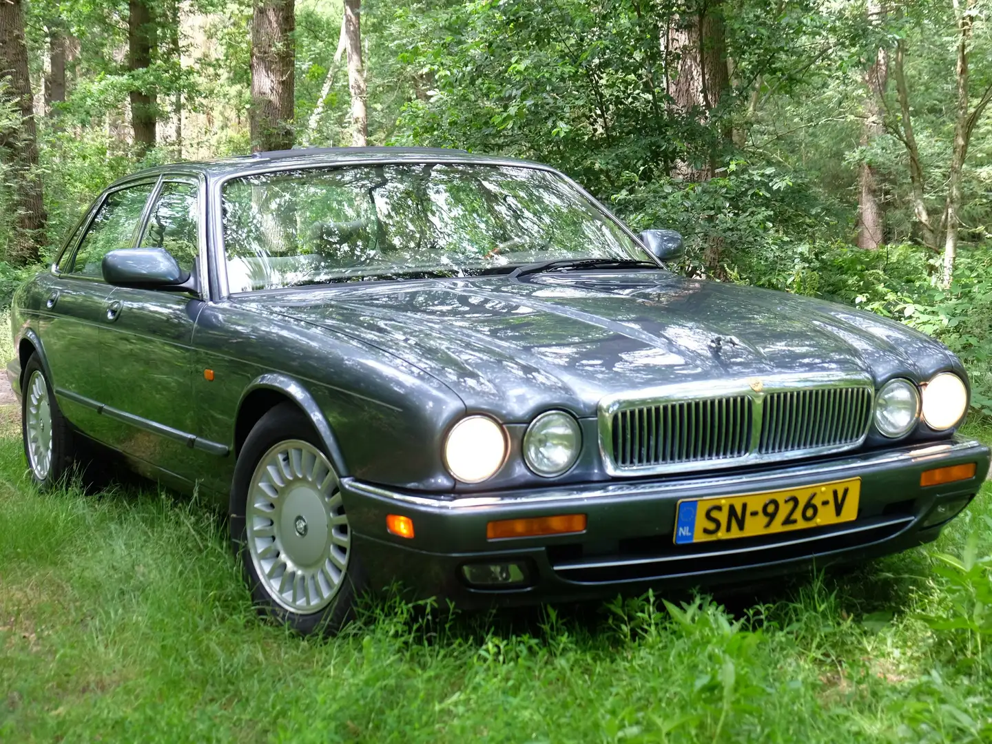 Jaguar XJ12 XJ12 6.0 V12 Blue - 2