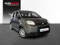 Fiat Panda 1.0 70CV Hybrid Gris - thumbnail 3
