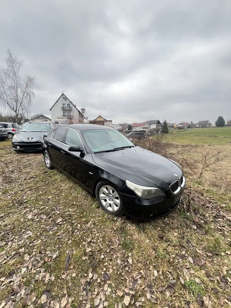 BMW 530 530d Exenon Bastlerauto Schwarz - 2
