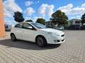 Fiat Bravo Bravo 1.6 mjt Chromo edition 120cv Bianco - thumbnail 3