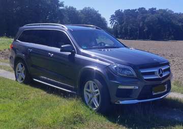 GL 350 BlueTec 4Matic (166.824)
