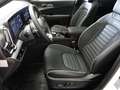 Kia Sportage 1,6 TGDI PHEV AWD GT-Line Aut. *VOLLAUSSTATTUNG!* Alb - thumbnail 6