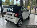 smart forTwo fortwo Cabrio Passion Twinamic+Klima+SHZ+KomPaket Blanc - thumbnail 5
