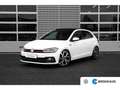 Volkswagen Polo GTI 2.0 TSI DSG | Panorama Dak | Camera | Apple Carpla Blanco - thumbnail 1