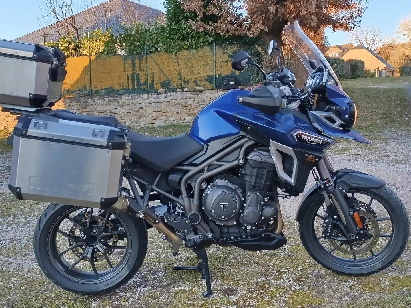 Triumph Tiger 1200 Xrx Albastru - 2