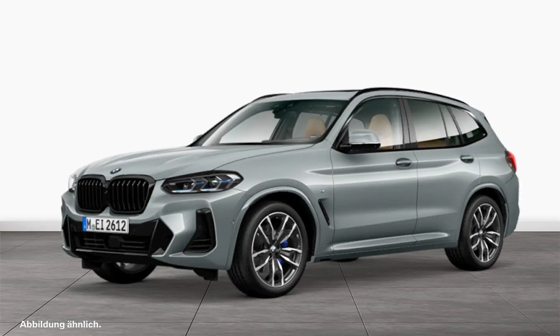 BMW X3 xDrive30d M Paket Head-Up Driving+Parkassist Panao Grau - 2