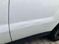 Mercedes-Benz CLK 350 Белый - thumbnail 7